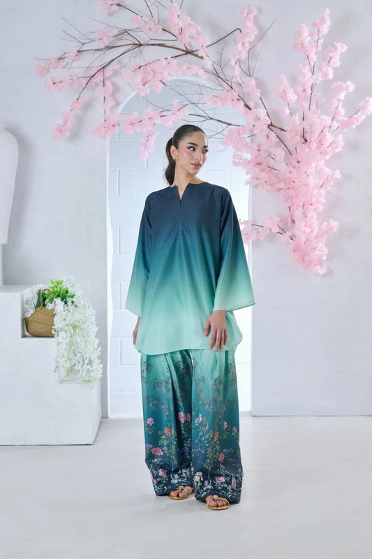 XAYWEAR Women Co-Ords Zeenat Printed 2PCS