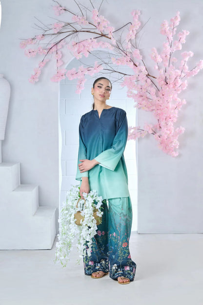 XAYWEAR Women Co-Ords Zeenat Printed 2PCS